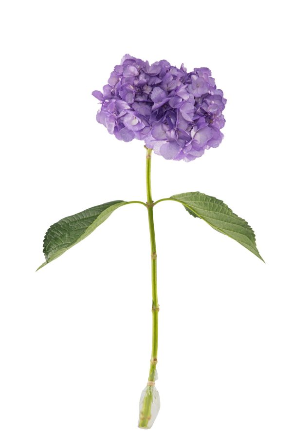 Lavander metallic tinted hyd - Image 3