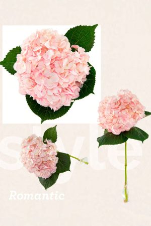 Light pink tinted